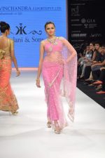 Model walks the ramp for Kriplani & Sons Show at IIJW Day 4 on 22nd Aug 2012 (92).JPG